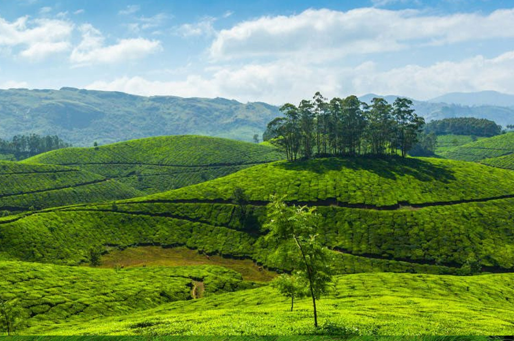 Top 10 Best Tourist Places to Visit in Kerala