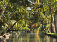 kerala state tourism packages