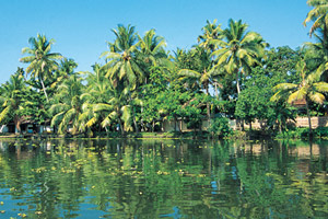 kerala tour packages from vadodara by air