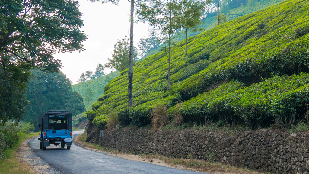 How To Read Munnar 